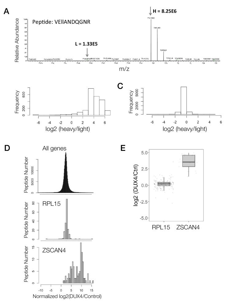 Figure 1—figure supplement 1.