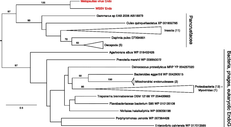 Fig. 9