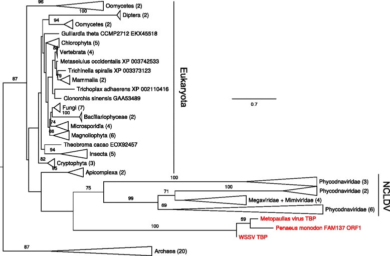 Fig. 8