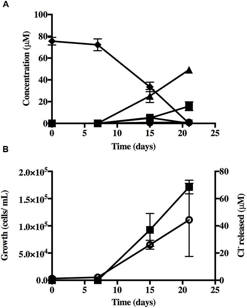 FIGURE 3