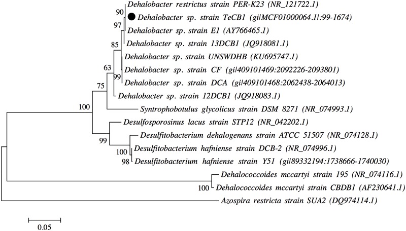 FIGURE 2