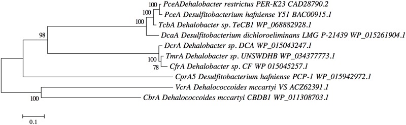 FIGURE 6