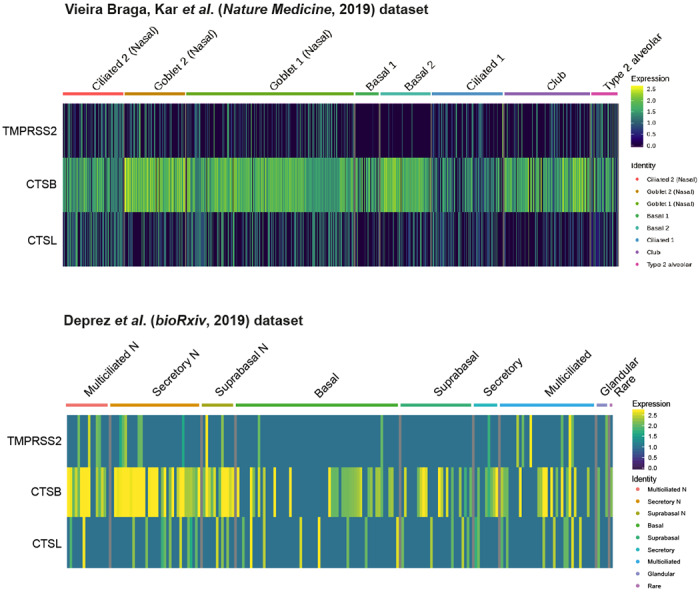 Extended Data Fig. 2|