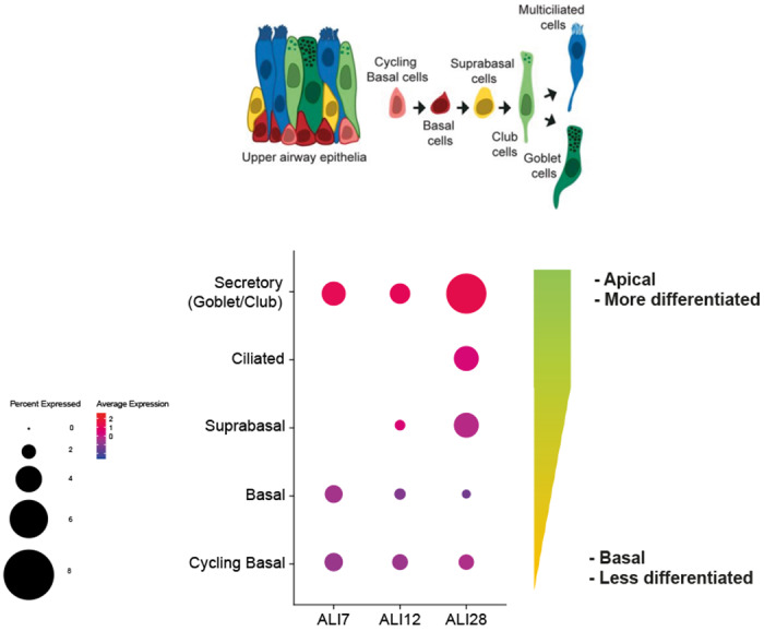 Extend Data Fig. 1|