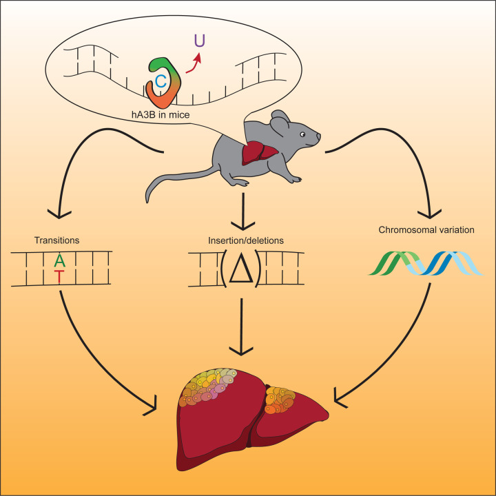 Figure 7.