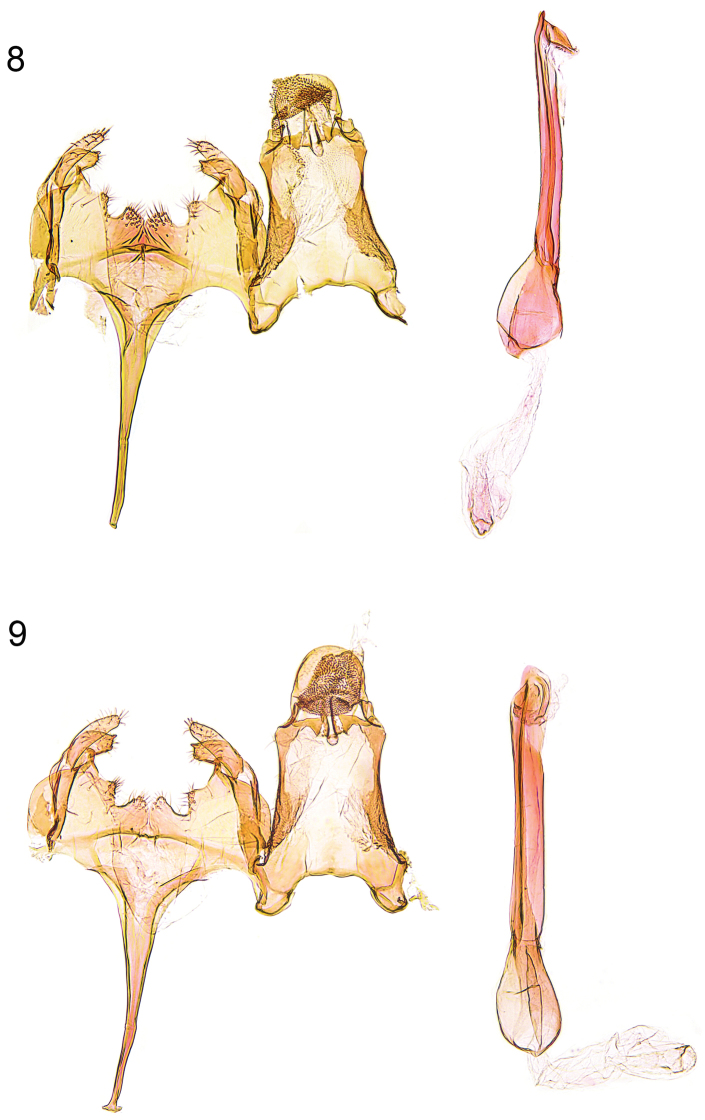 Figures 8–9.