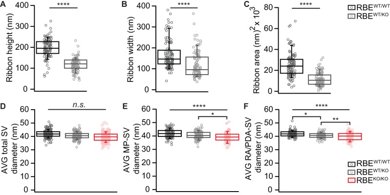 Figure 2—figure supplement 1.