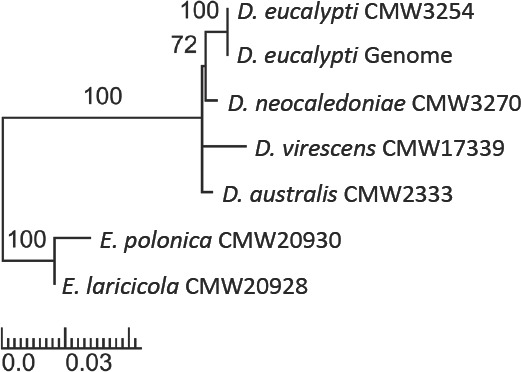 Fig. 6.