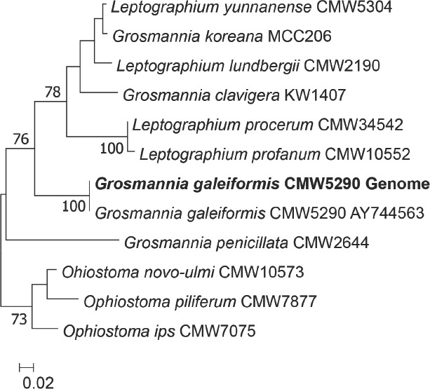 Fig. 7.