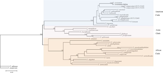 Fig. 2.