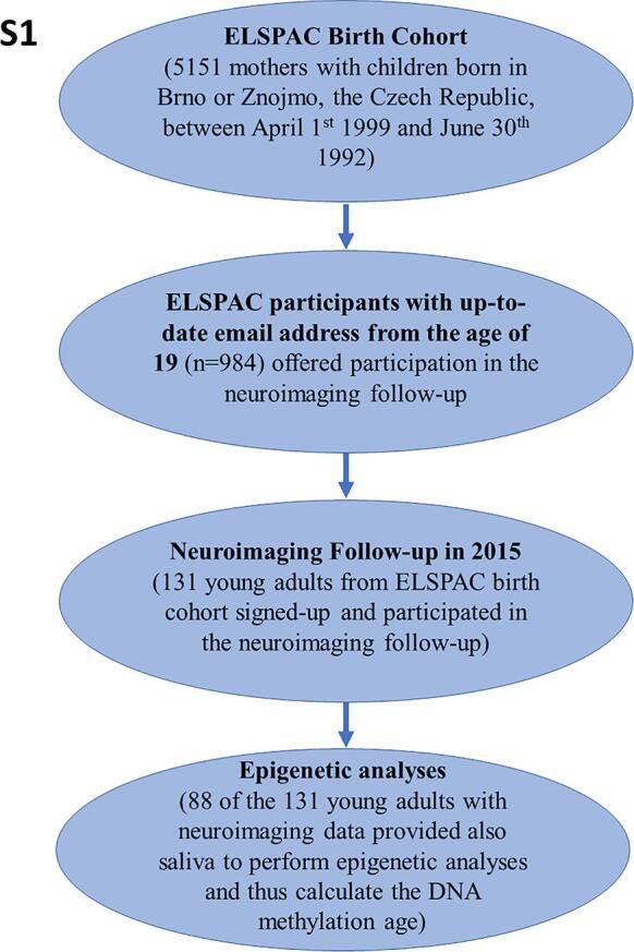 Supplementary figure 1