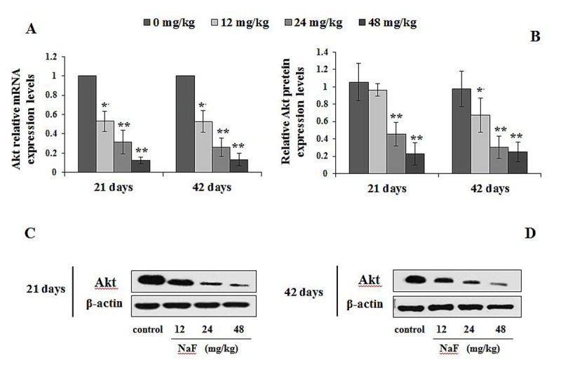 Figure 13