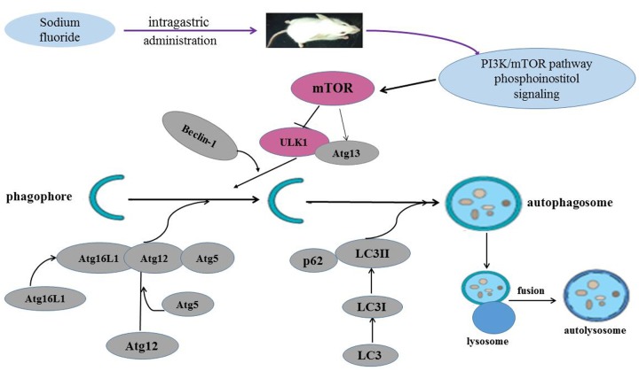 Figure 14