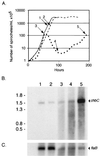 FIG. 8