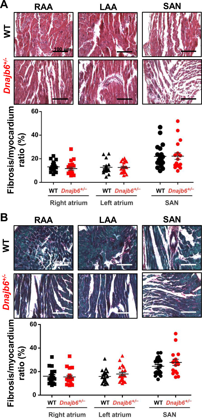 Figure 5—figure supplement 2.