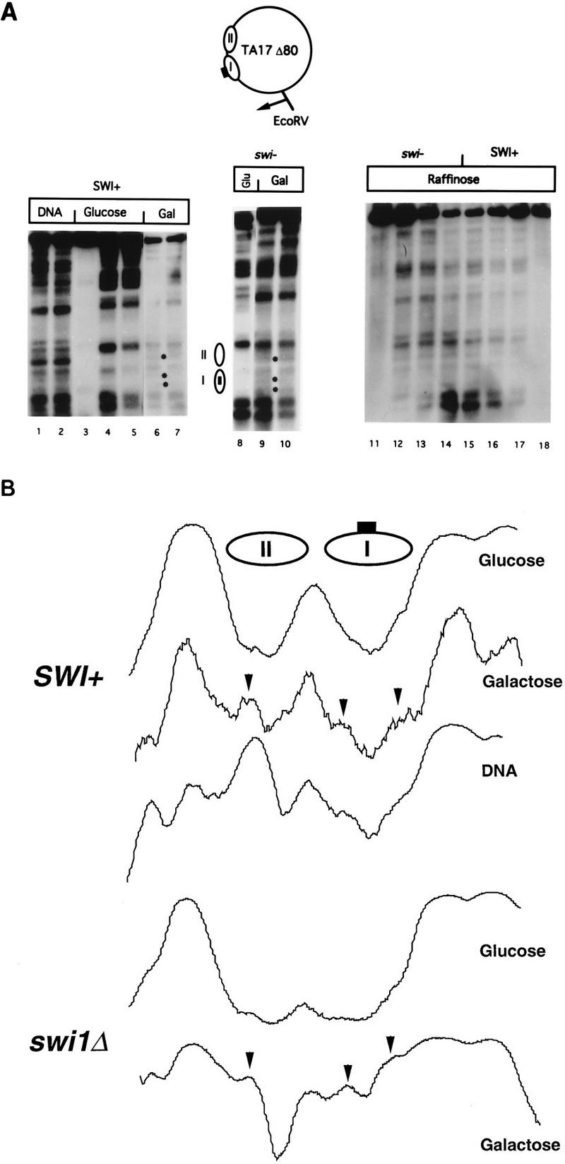 FIG. 1