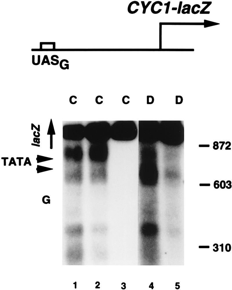 FIG. 5