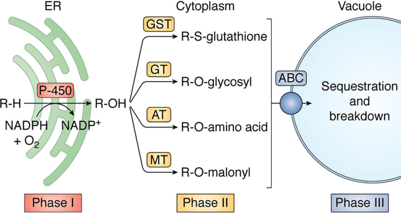 Figure 7.