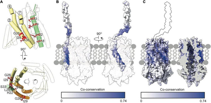 FIGURE 6