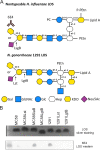 FIG 1