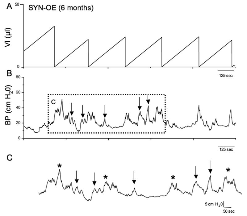 Fig. 8