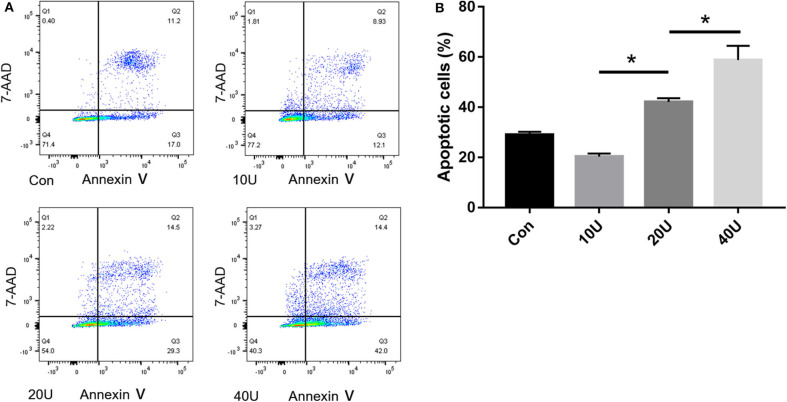 Figure 6