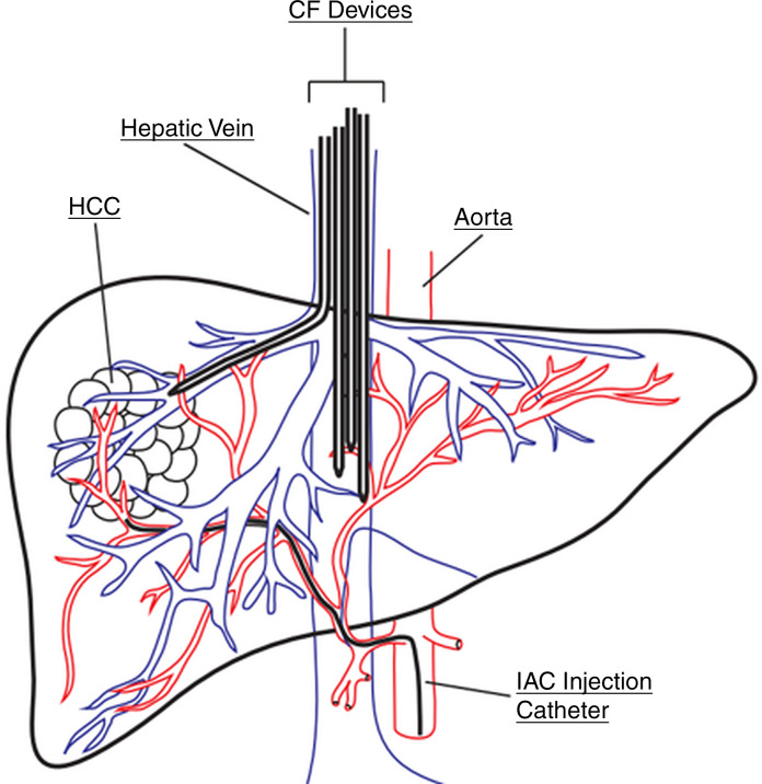 Figure 3a: