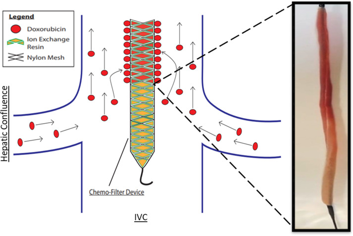 Figure 6a: