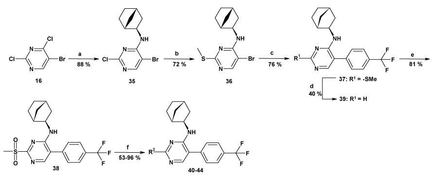 Scheme 4