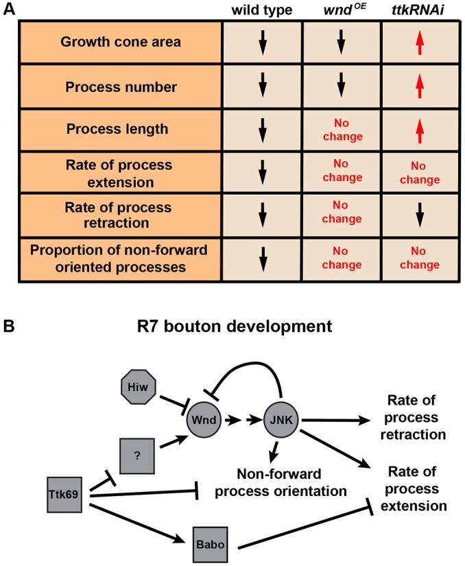 Fig. 8.