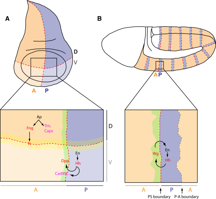 Fig. 1a, b