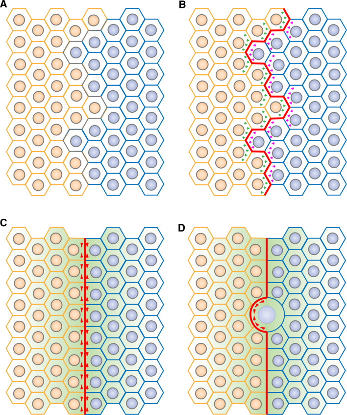 Fig. 4a–d