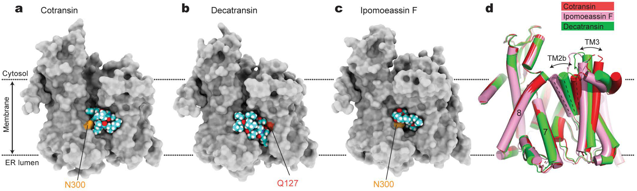 Figure 2.