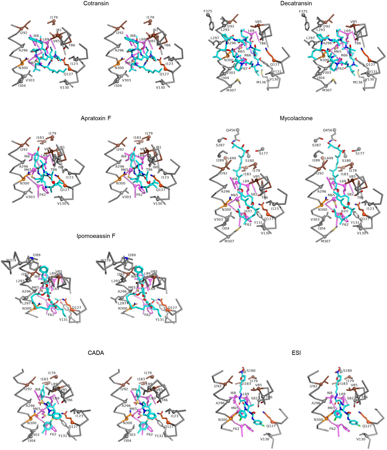 Extended Data Figure 8.