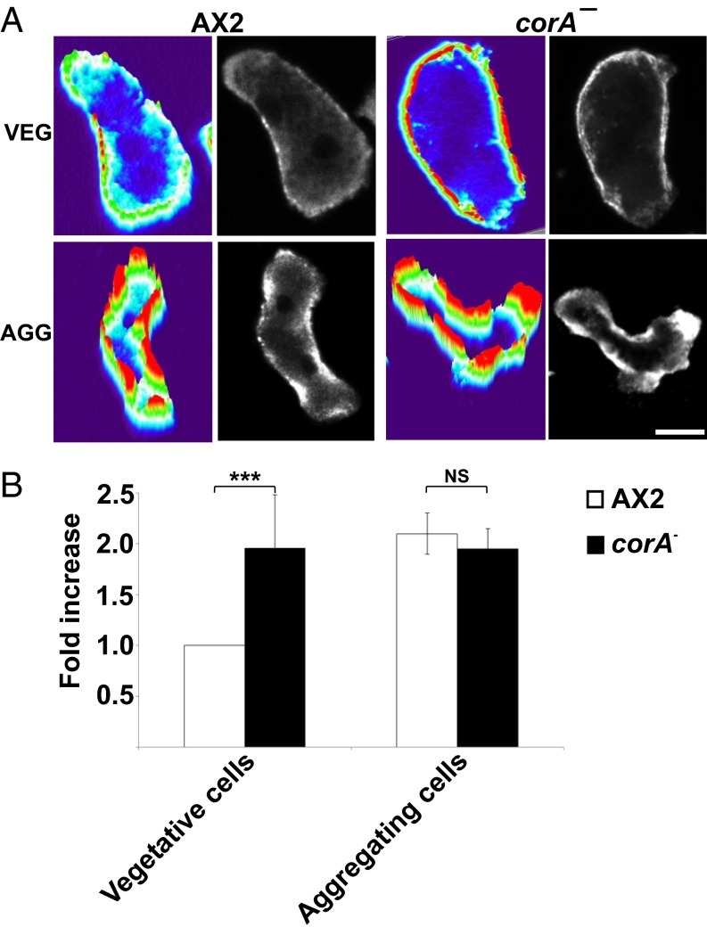 Fig. 4.