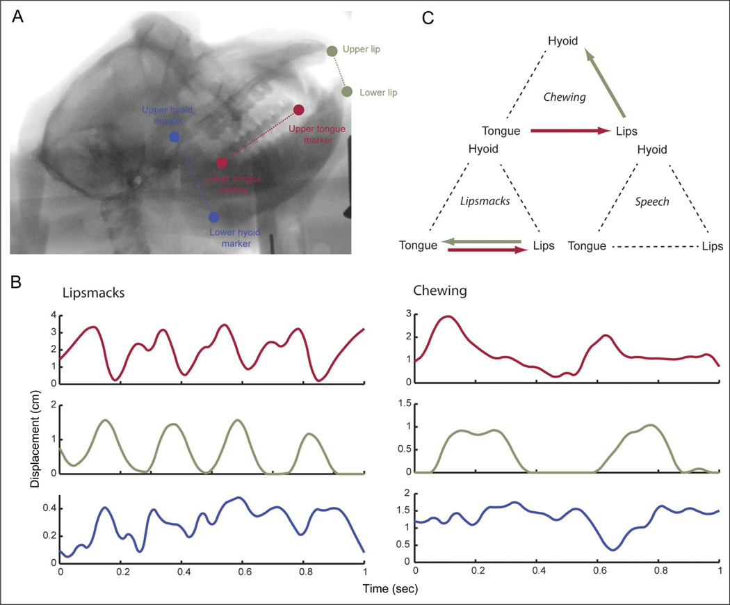 Figure 4