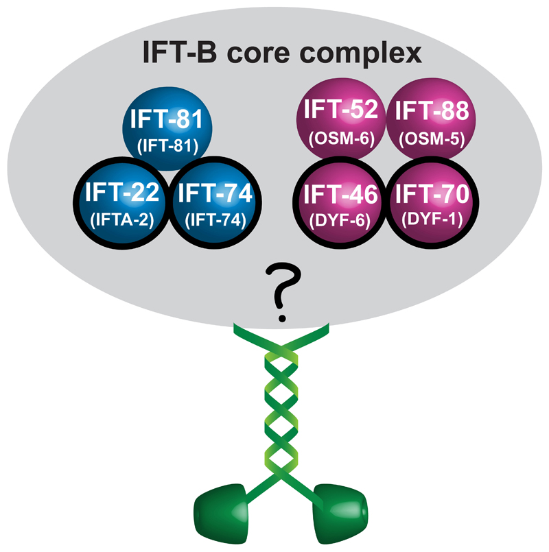 Extended Data Fig. 1