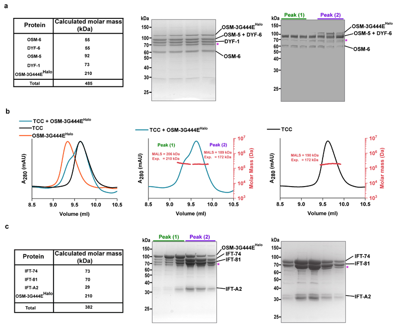 Extended Data Fig. 2