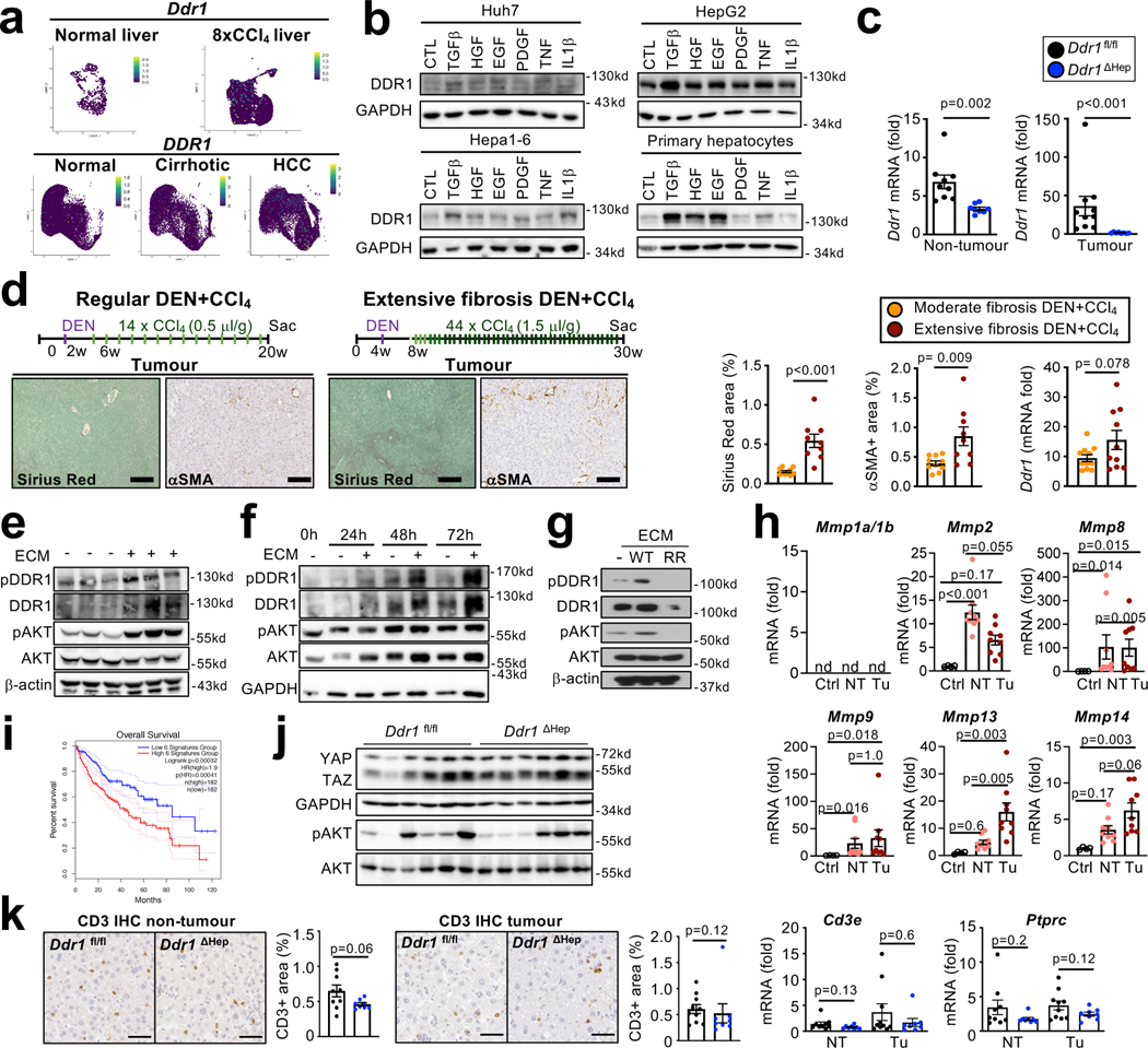 Extended Data Figure 10 |