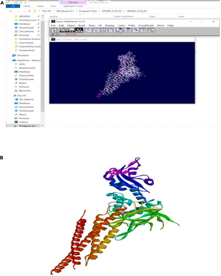 Figure 12