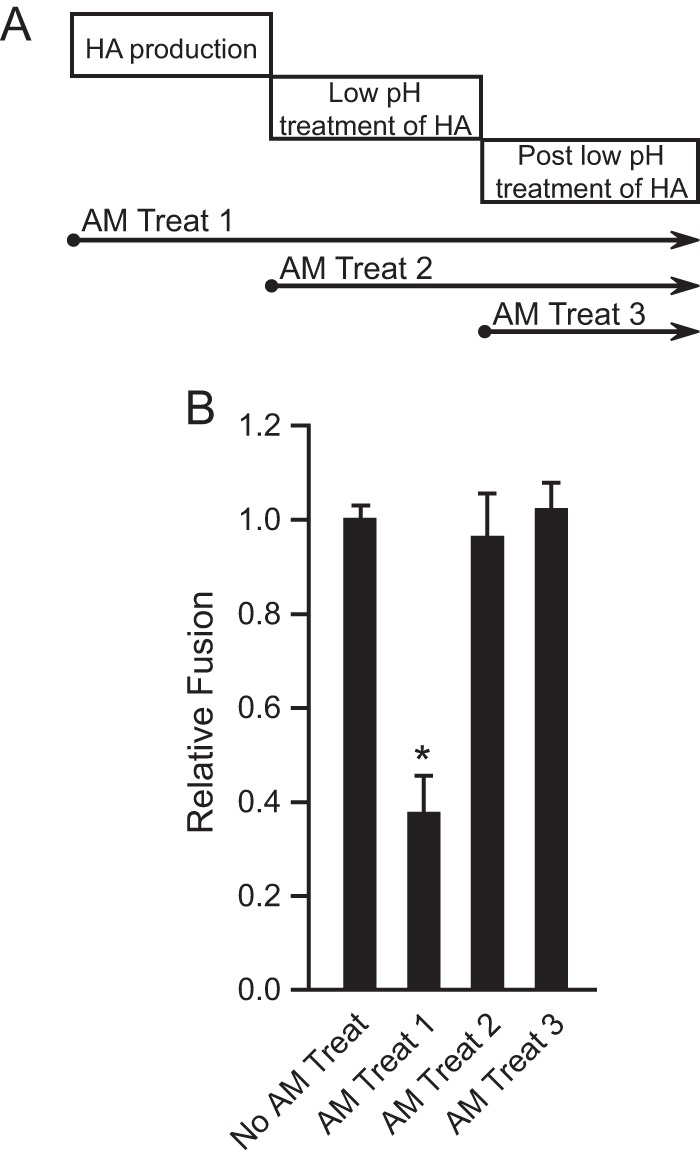 FIG 6