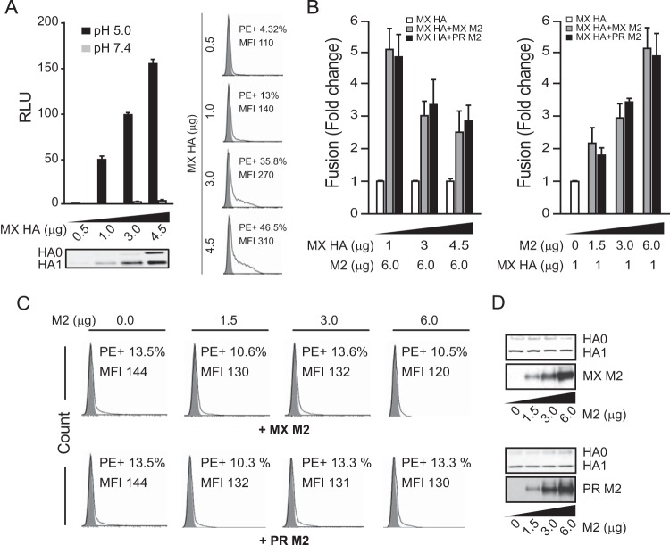 FIG 3