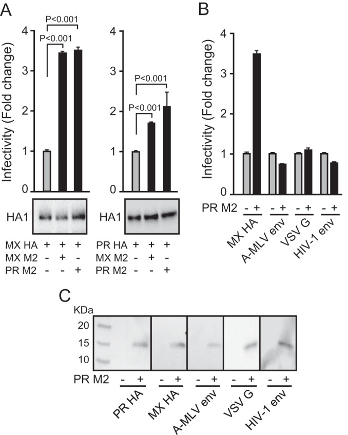 FIG 1