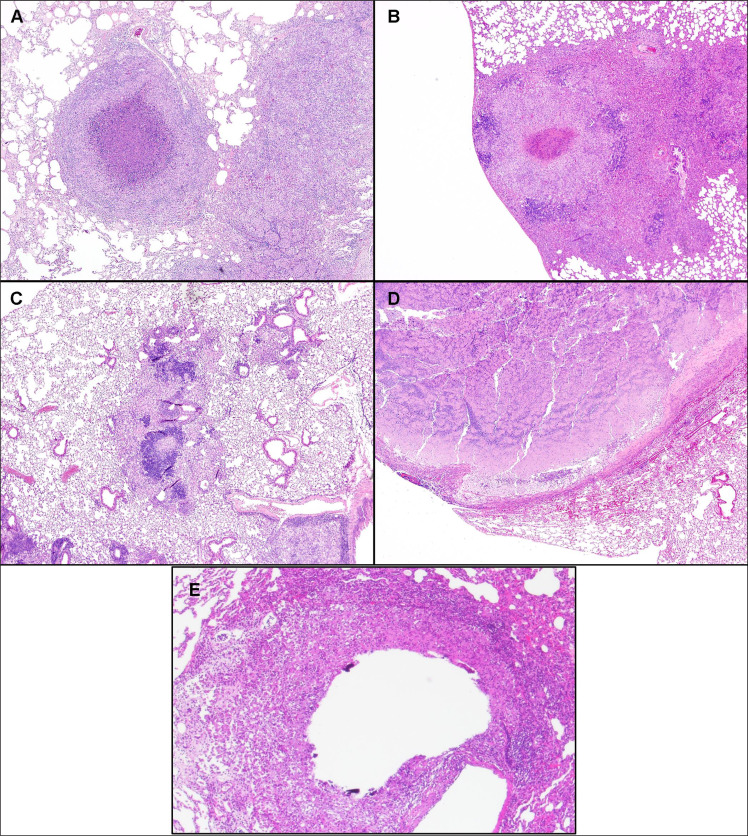 Fig. (3)