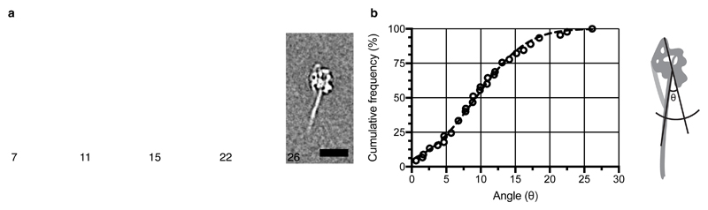 Extended Data Figure 6