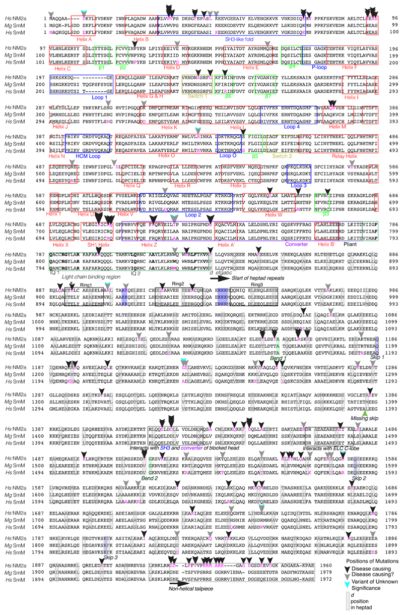 Extended Data Figure 3