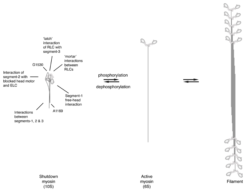 Extended Data Figure 7