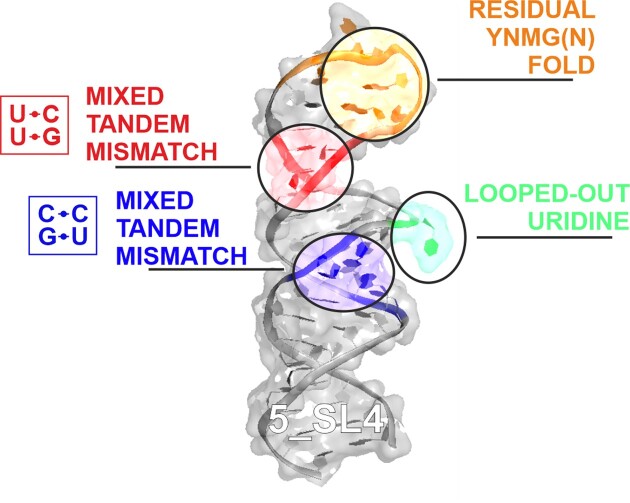 Graphical Abstract