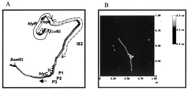 FIG. 7.