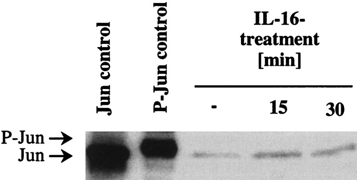 Fig. 11.